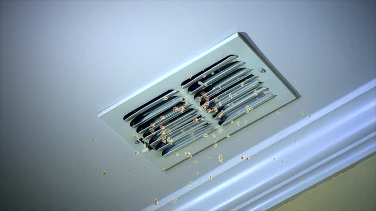 Best Affordable Air Duct Cleaning  in Mount Ephraim, NJ